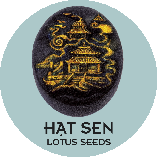 BTT Hạt Sen (2 Trứng) - Lotus Seeds Mooncake (2 Salted Egg Yolks)