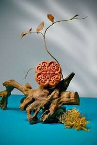 <transcy>Bánh Trung Thu</transcy>